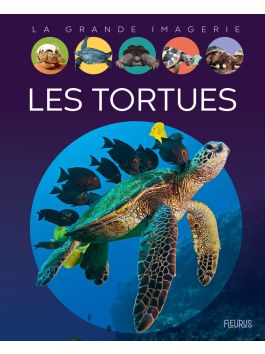 Petit Livret Ancien Sur La Pêche En Eau Douce – Thème Tortue, Fabrication Française