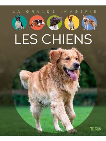 Les chiens
