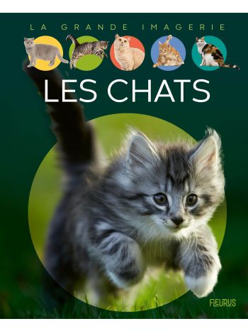 Les chats