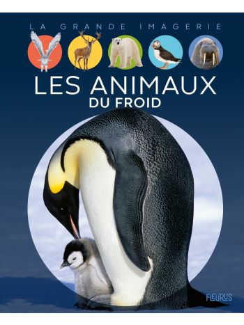 Les animaux du froid