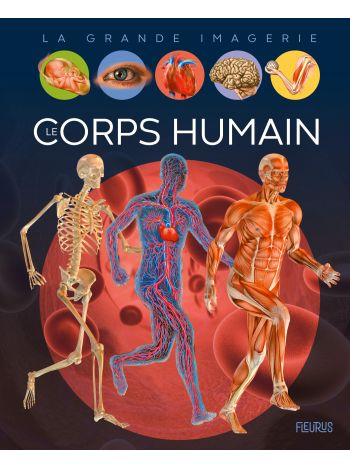 Le corps humain