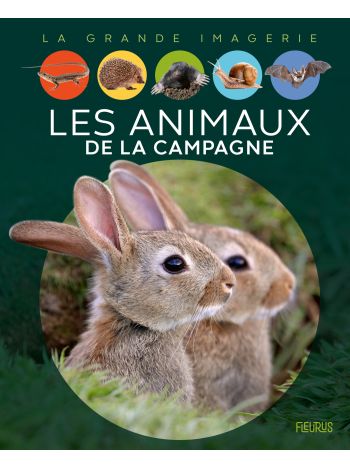 Les animaux de la campagne