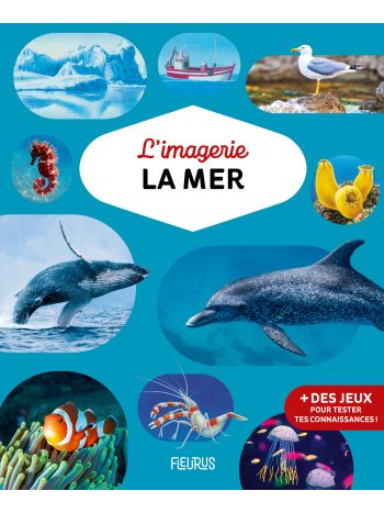 L'imagerie - La mer