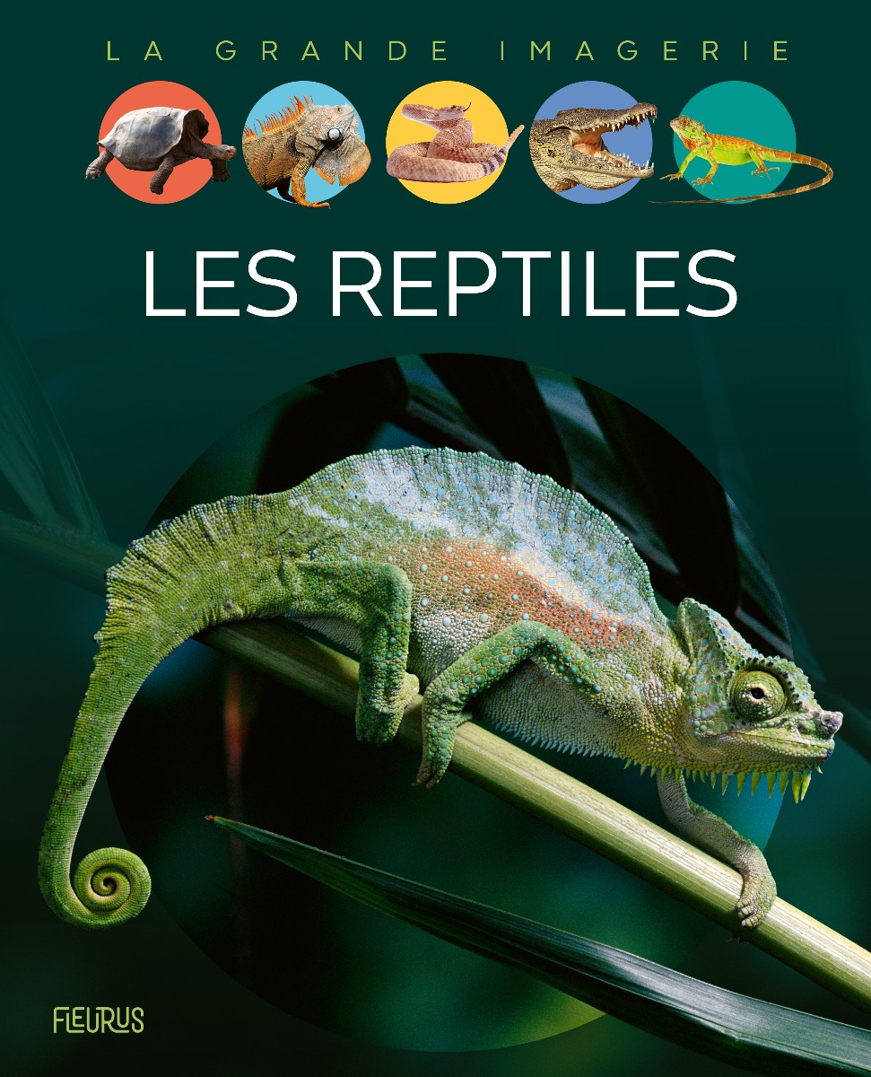 Couverture Les Reptiles