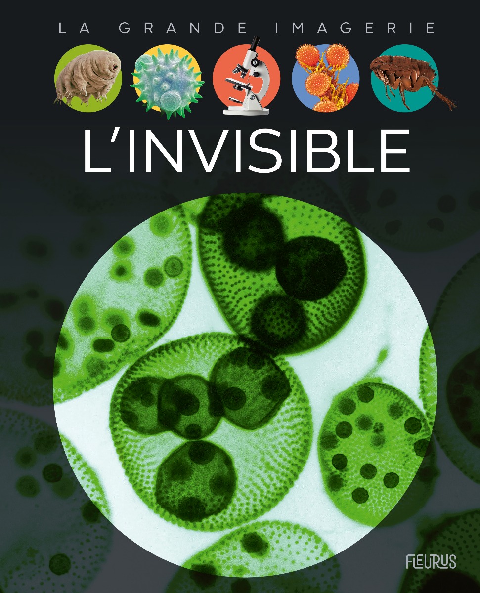 Couverture L'invisible