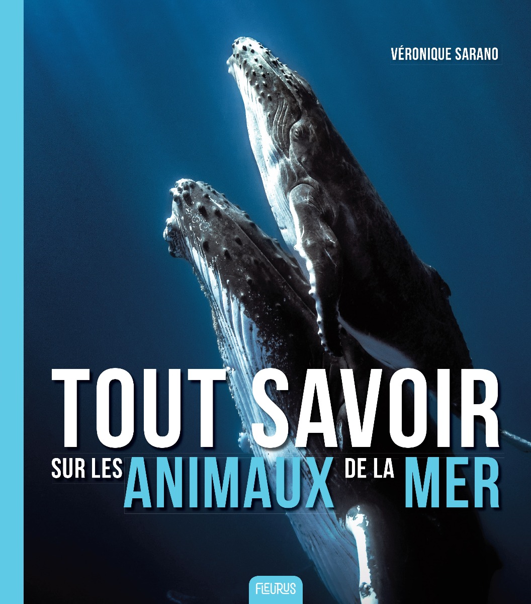 Couverture Les animaux du froid