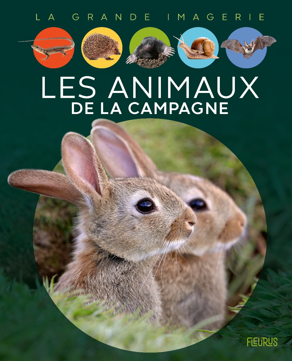 Couverture Les animaux du froid