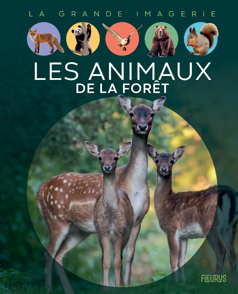 Couverture Les animaux de la mer