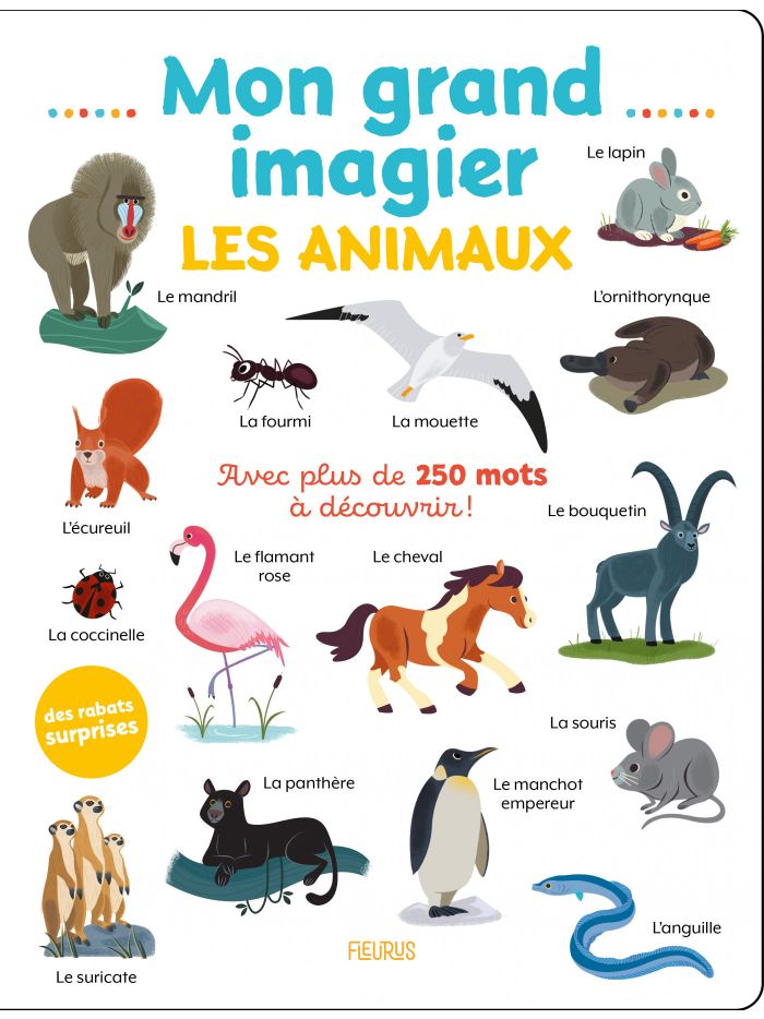 Mon grand imagier . Les animaux