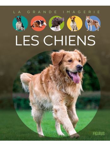 Superbe livre Les Chevaux 🐎 1 2 3 Topdoc éditions fleurus, livre