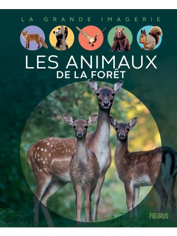 AGNÈS VANDEWIELE - Les Chevaux N. éd. - Animaux - LIVRES -   - Livres + cadeaux + jeux